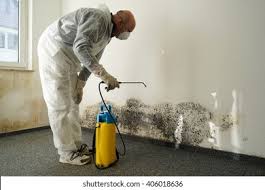 Mold Remediation for Vacation Homes in Wollochet, WA